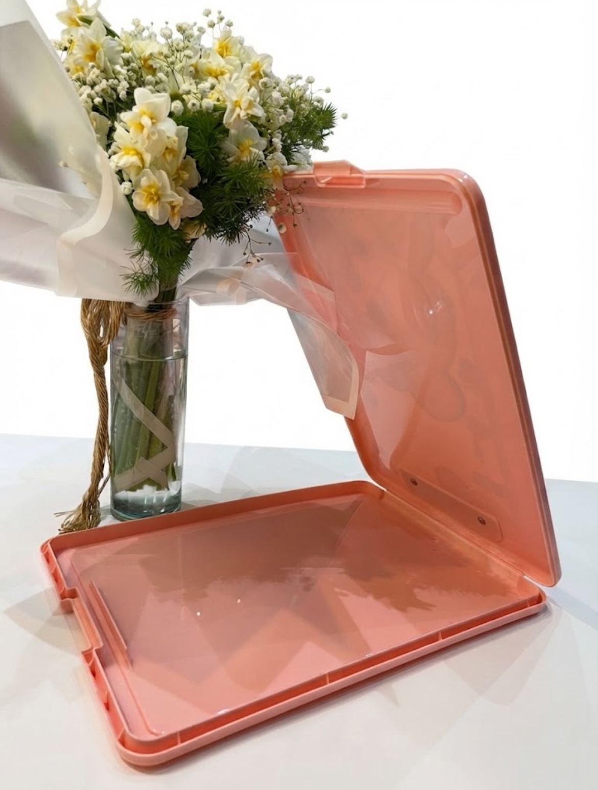  clipboard (planchette à pince) en plastique